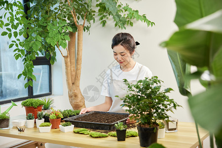 适用育苗盆培育植物的女性高清图片