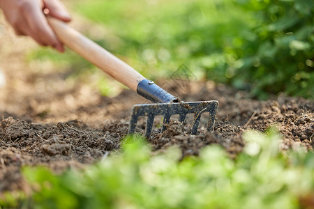 植树节挖土使用耙子耕地松土特写背景