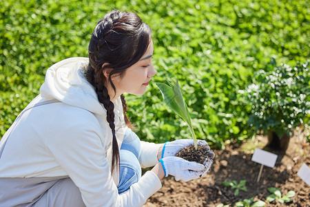 户外女性轻闻手中的花苗高清图片