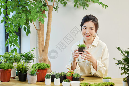 手拿盆栽植物的女性图片