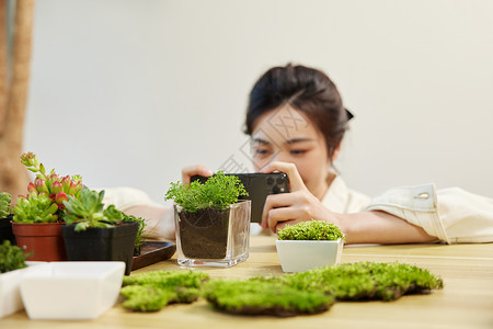 植树节拍照女性使用手机给植物拍照背景