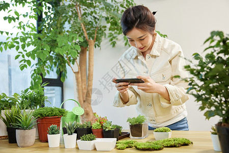 给盆栽松土女性使用手机给植物拍照背景