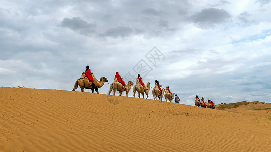 内蒙古库布其沙漠骆驼骑行背景图片
