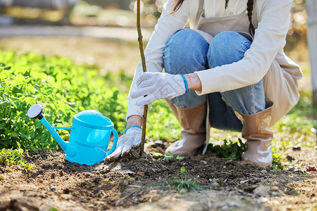 女性公益环保女性户外种植树苗背景