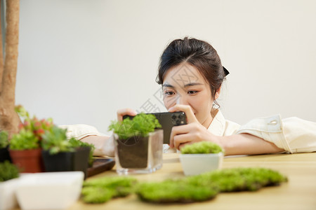 手机保护壳用手机给盆栽拍照的女性背景