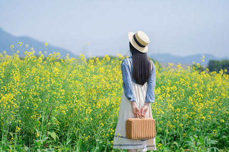 海里美女油菜花海里的少女背景