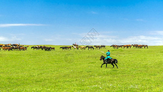 马塔拉格根塔拉草原牧民和马群背景