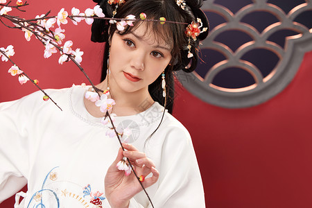 中国风梅传统国风古装美女手拿梅花枝背景
