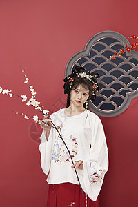 中国风古装美女手拿梅花枝图片