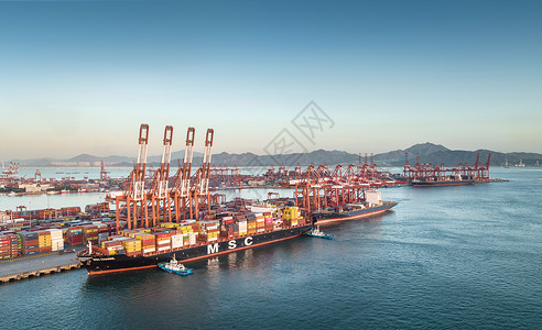 贸易发展蛇口赤湾港集装箱港口背景