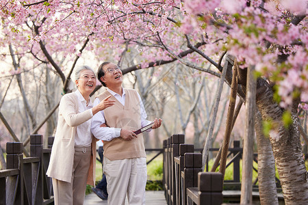 春天初夏一起在公园赏花的老年夫妻背景