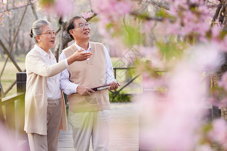 老年夫妻一起在公园赏樱花高清图片