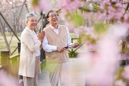 一起去赏花海报幸福老年夫妻一起在公园赏花背景