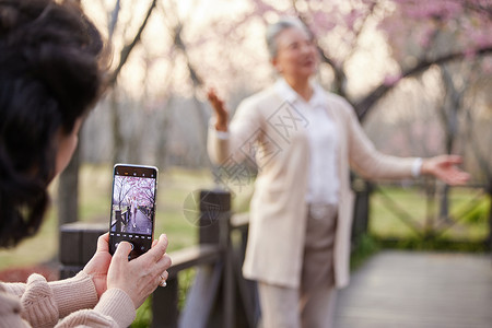 樱花季展板用手机给老奶奶拍照片背景