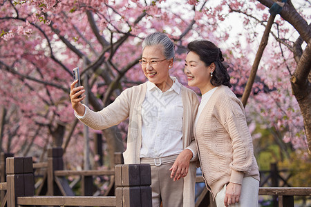 炫彩潮流粉色老年闺蜜一起在公园看樱花自拍背景