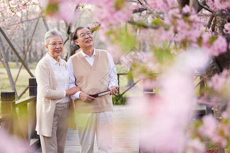 花奶奶素材老年夫妻一起在公园赏花背景