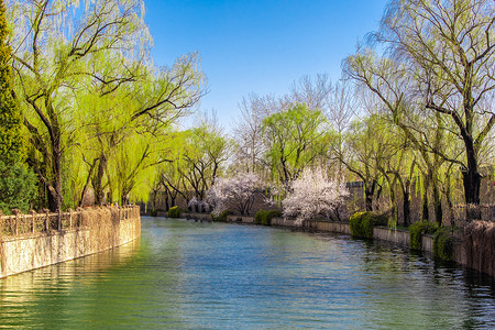 春天北京颐和园桃花开放的西堤高清图片