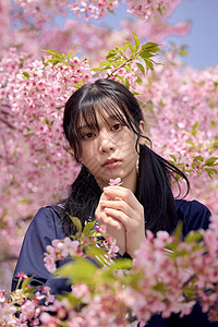 日系美女樱花写真背景图片