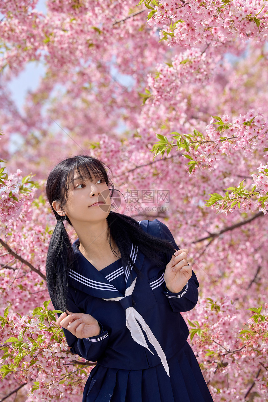 日系美女樱花写真图片