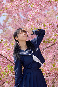 日系青春女性大学生日系美女樱花写真背景