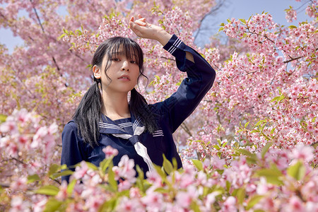 美女大学生公园赏樱花写真图片