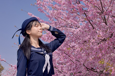 日系美女赏樱花写真背景图片