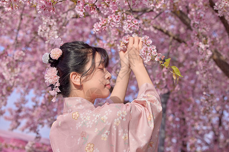 穿和服的樱花少女图片