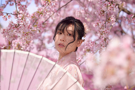 穿和服的樱花少女背景图片