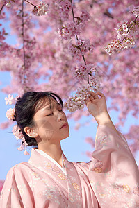 穿和服的樱花少女背景图片