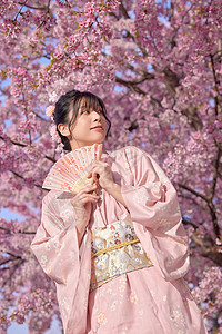 粉红色樱花折扇樱花旁的和服美女拿着折扇背景