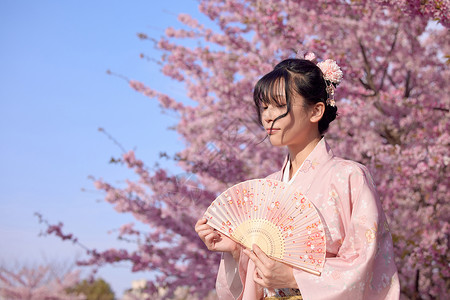 樱花少女侧面写真背景