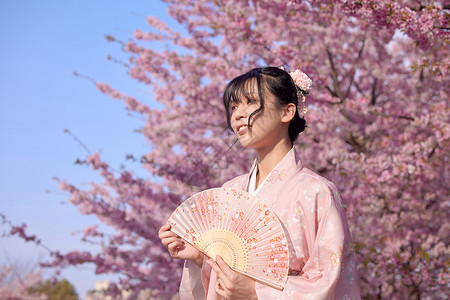 樱花旁的和服美女拿着折扇背景图片