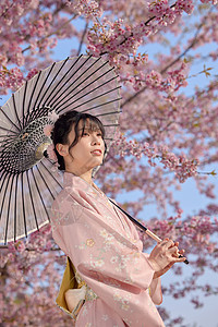 撑伞的日系清新和服樱花美女背景图片