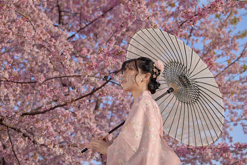 穿和服的樱花少女图片