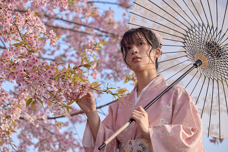 撑伞的日系清新和服樱花美女背景图片