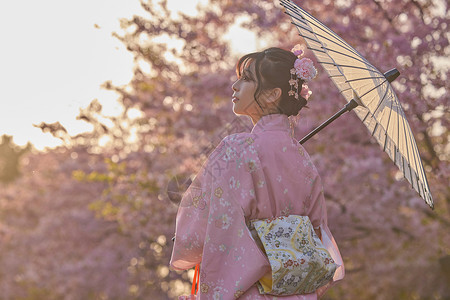 樱花和服和服樱花美女撑伞背影背景