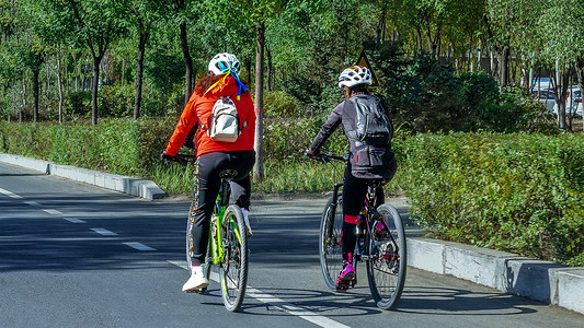 春季运动春季自行车公路骑行背景