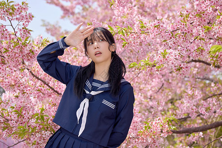 日系美女大学生初春赏樱花背景图片
