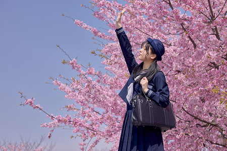 日系美女初春赏樱花背景图片