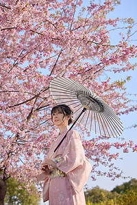 日系美女初春赏樱花背景图片