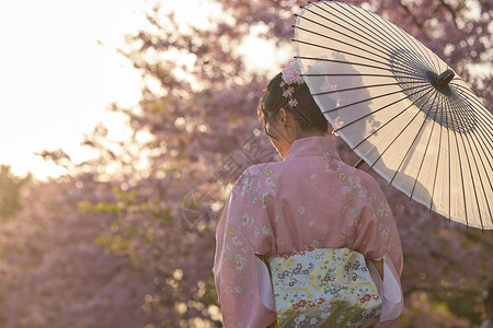 撑伞的樱花美女背影高清图片