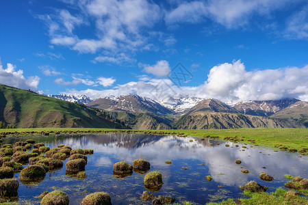 新疆伊犁唐布拉草原仙女湖背景图片