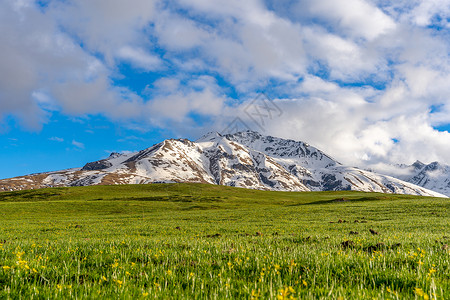 雪山天池新疆伊犁唐布拉草原背景