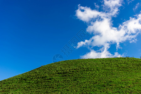 乌鲁木齐南山牧场夏天清新唯美的湖南南山牧场背景