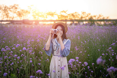 光明小镇马鞭草花海里的少女背景