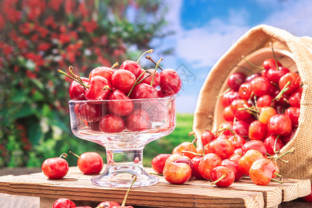 夏季美味的红色大樱桃图片