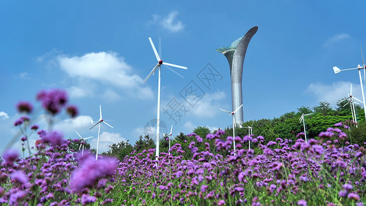 黑龙江植物园风车5A景区沈阳植物园高塔和风车背景