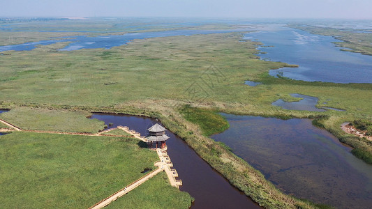 山东东营黄河口国家湿地5A景区背景图片
