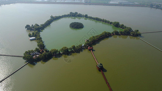  5A景区阜阳八里河旅游区湖中岛背景图片