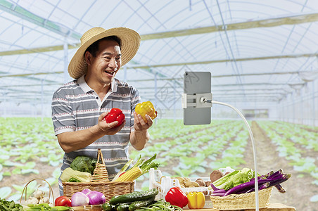 菜农线上直播销售有机蔬菜高清图片